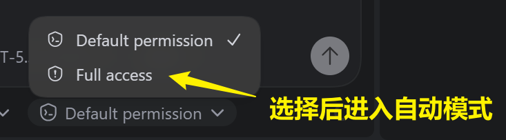 Codex App 偏好设置3