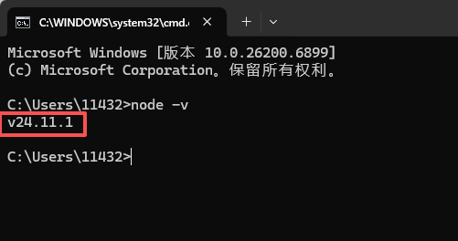查看 Node.js 版本