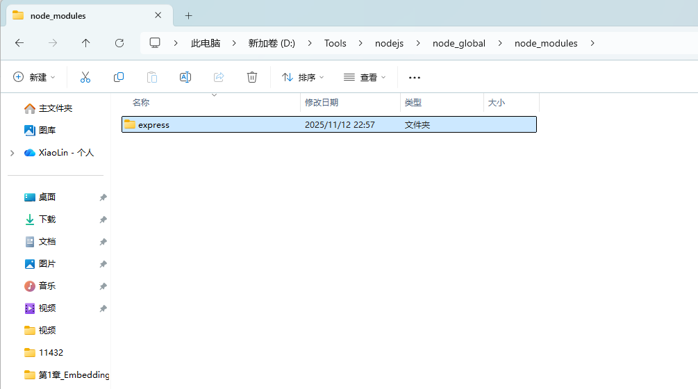 查看 express 安装结果