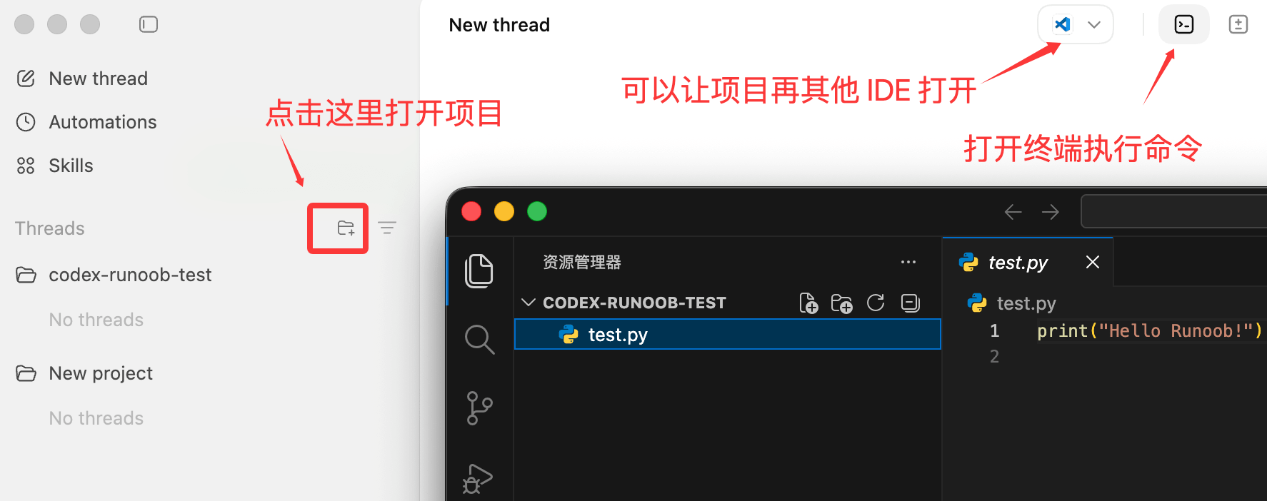 Codex 应用界面