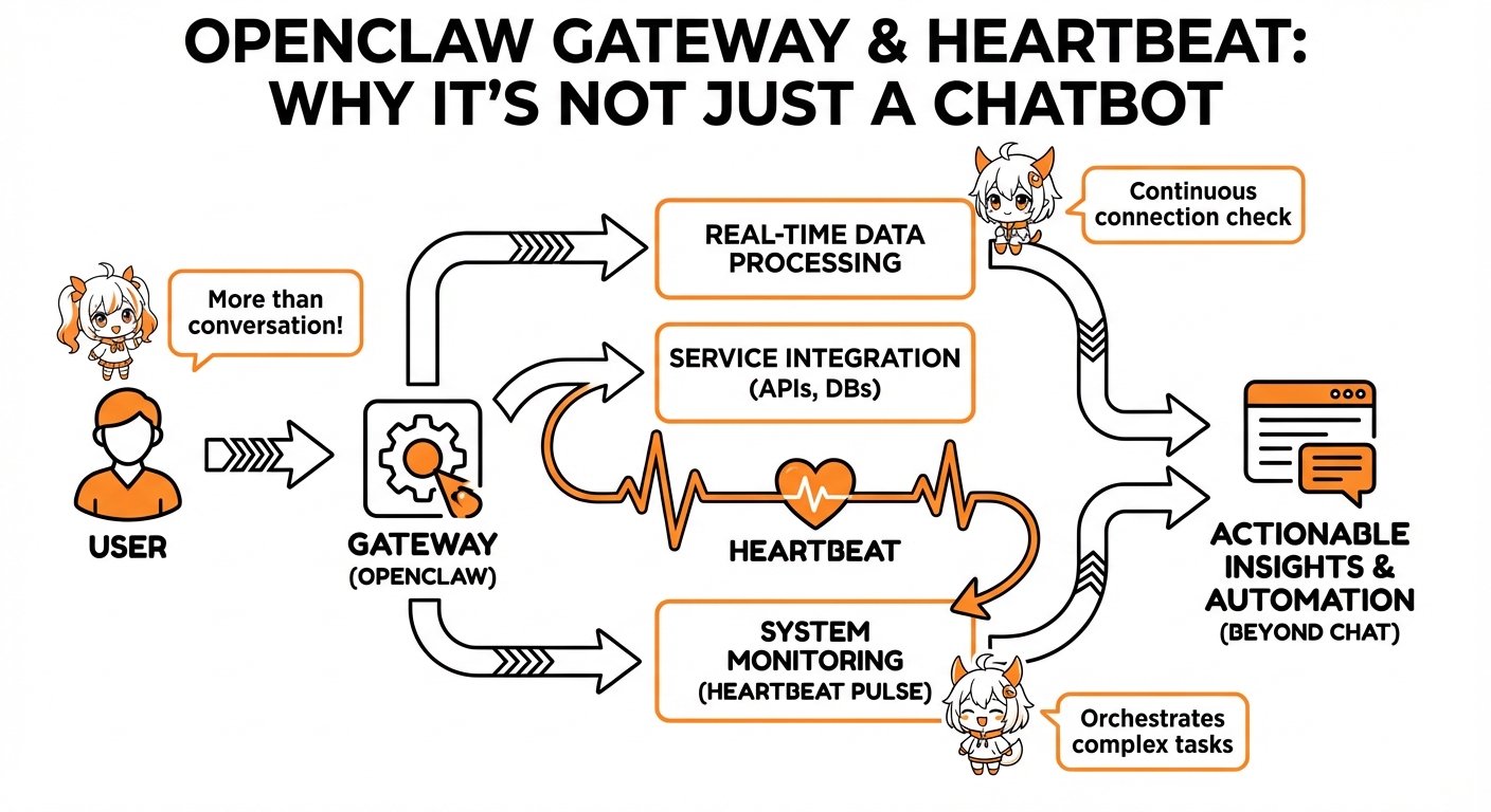 OpenClaw Gateway 与 Heartbeat:为什么它不只是聊天机器人 信息图