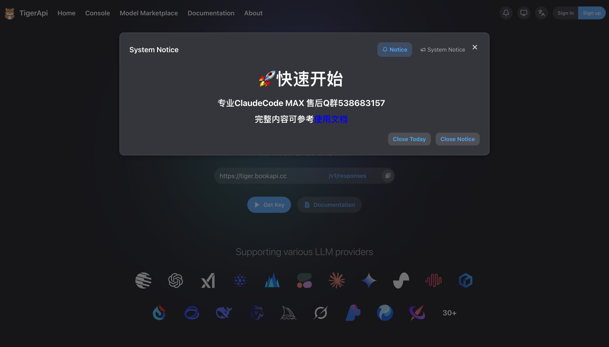 Tiger 站点首页截图
